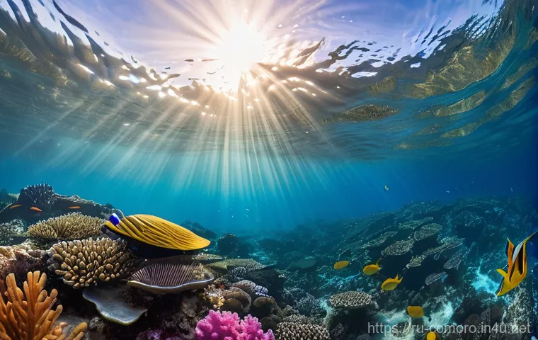 코모로 전통과 현대의 조화 - **Prompt: Historic Moroni Street Scene at Golden Hour**
    A detailed, realistic photograph depicti...