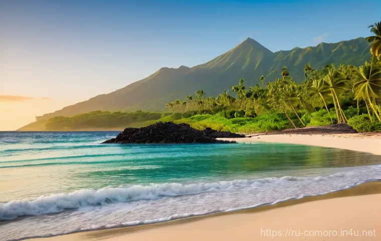 코모로 해양 생물 다양성 - **Prompt**: "A vibrant and thriving coral reef off the coast of Moheli, Comoros. Crystal-clear turqu... 코모로 해양 생물 다양성 - **Prompt**: "A vibrant and thriving coral reef off the coast of Moheli, Comoros. Crystal-clear turqu...