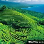 코모로 커피 생산지 방문 - **Prompt:** A vibrant panoramic view of the Comoros Islands, showcasing lush, terraced coffee planta...