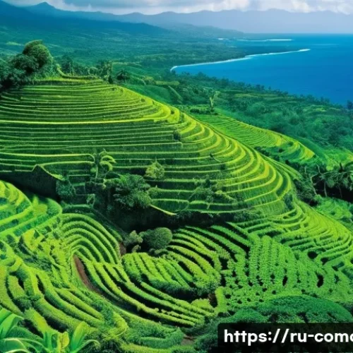 Home 7 코모로 커피 생산지 방문 - **Prompt:** A vibrant panoramic view of the Comoros Islands, showcasing lush, terraced coffee planta...