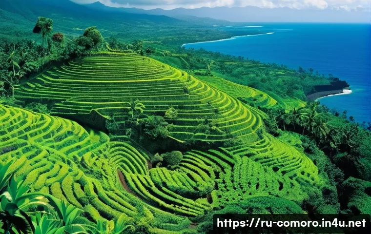 코모로 커피 생산지 방문 - **Prompt:** A vibrant panoramic view of the Comoros Islands, showcasing lush, terraced coffee planta...
