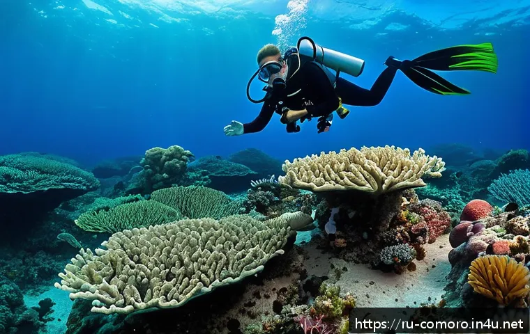 코모로 환경 문제와 해결 방안 - A vibrant underwater scene depicting a coral reef restoration project near the Comoros Islands, feat...