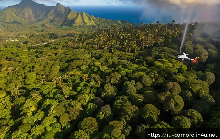 코모로 소방 안전 관리 - A detailed aerial view of a lush forested area on the Comoros Islands at sunrise, with several advan...